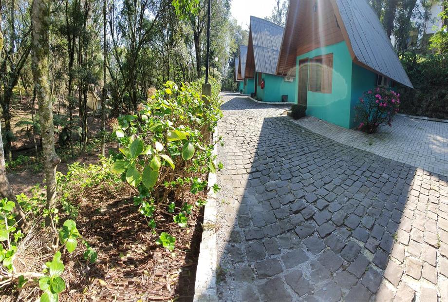 20200827_134405 (copy).jpg