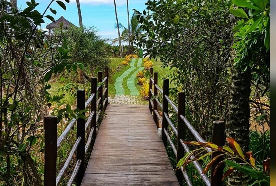 whatsapp image 2021-02-06 at 10.28.29.jpeg