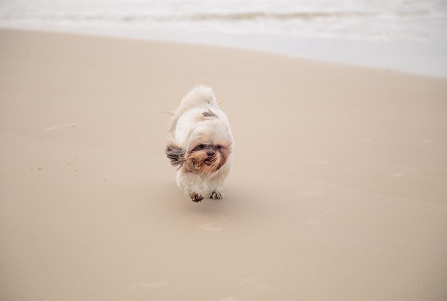 ilhéusnorth-608 (1)_easy-resize.com.jpg