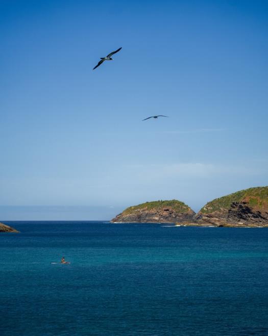 cópia de cr_08907.jpg