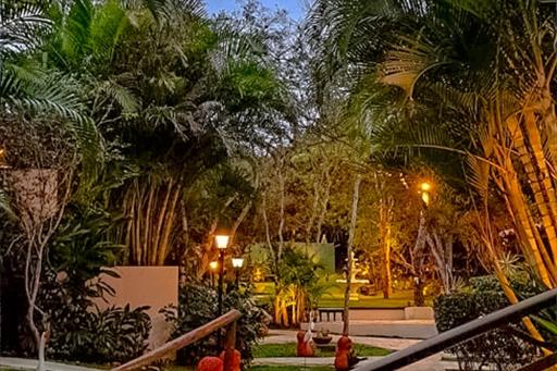 whatsapp image 2022-07-29 at 17.23.40.jpg