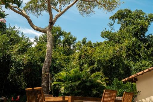 cópia de cr_08806.jpg