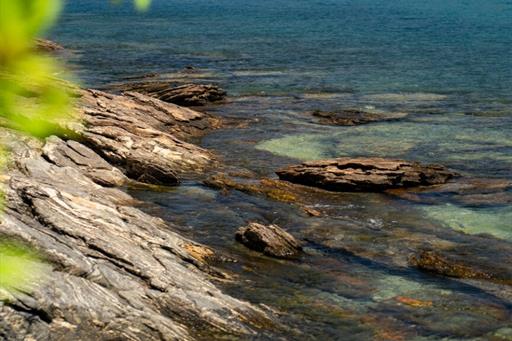 cópia de cr_08928.jpg