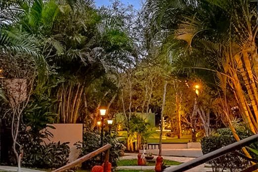 whatsapp image 2022-07-29 at 17.23.40.jpg