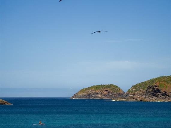 cópia de cr_08907.jpg