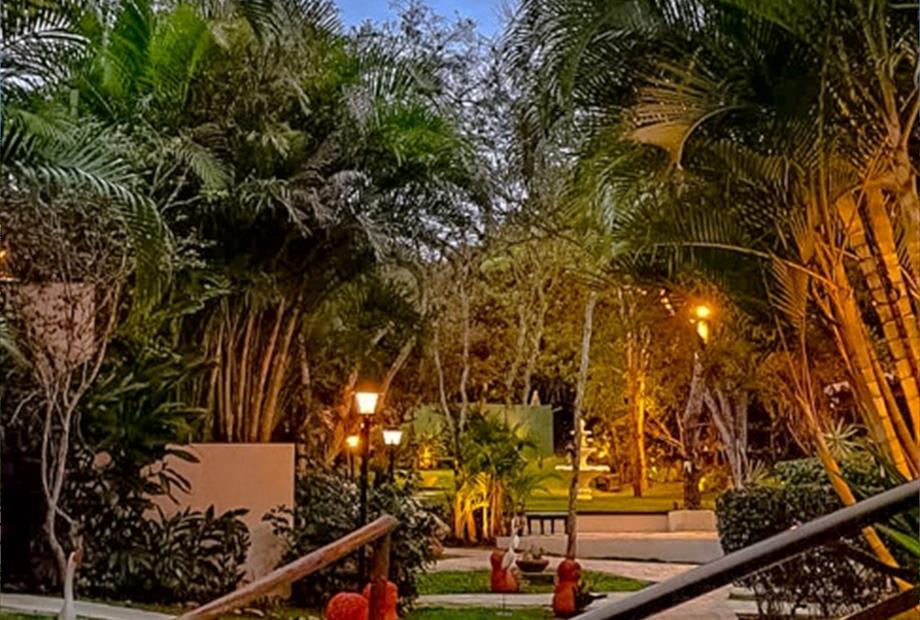 whatsapp image 2022-07-29 at 17.23.40.jpg