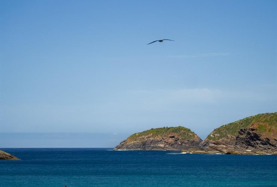 cópia de cr_08907.jpg