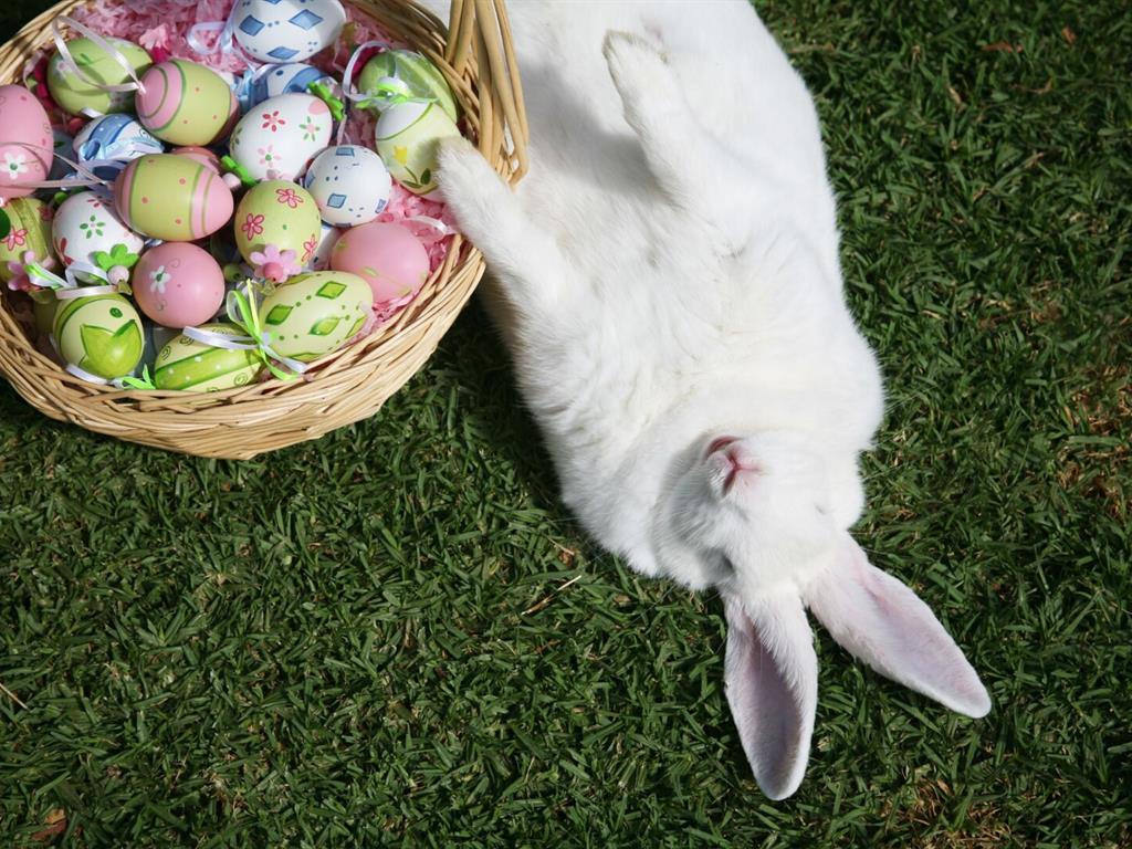 Pacote Páscoa Blue Sabores