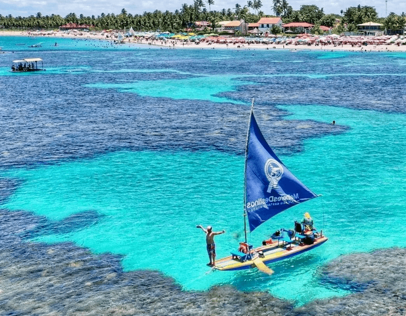 porto de galinhasss (1).png