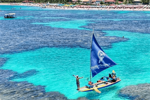 porto de galinhasss (1).png