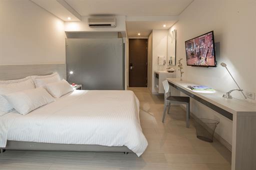 estandar single .jpg