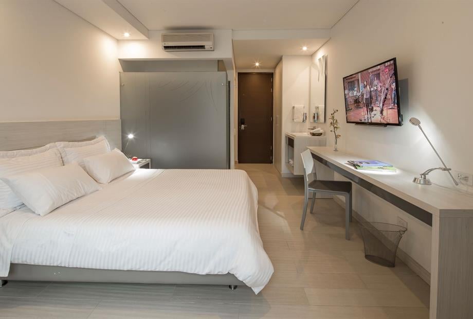 estandar single .jpg