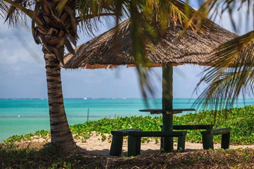 whatsapp image 2020-10-18 at 23.06.15 (20).jpeg