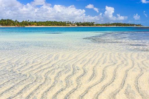 whatsapp image 2020-10-18 at 23.06.15 (23).jpeg