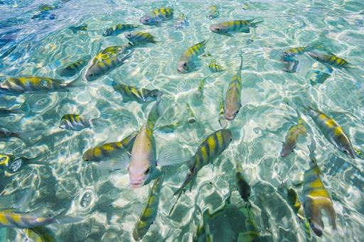 whatsapp image 2020-10-18 at 23.06.15 (22).jpeg