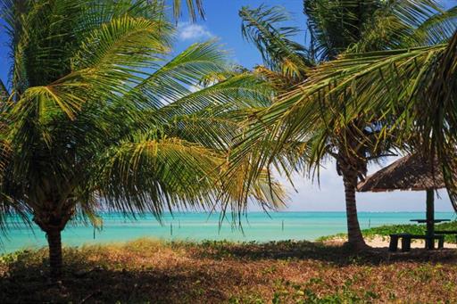 whatsapp image 2020-10-18 at 23.06.15 (21).jpeg