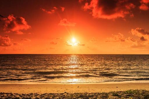 whatsapp image 2020-10-18 at 23.06.15 (26).jpeg