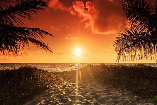 whatsapp image 2020-10-18 at 23.06.15 (27).jpeg