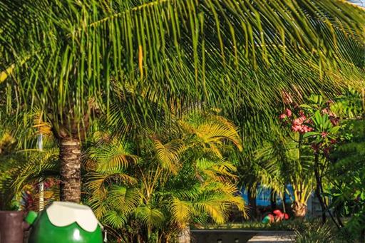 whatsapp image 2020-10-18 at 23.06.15.jpeg