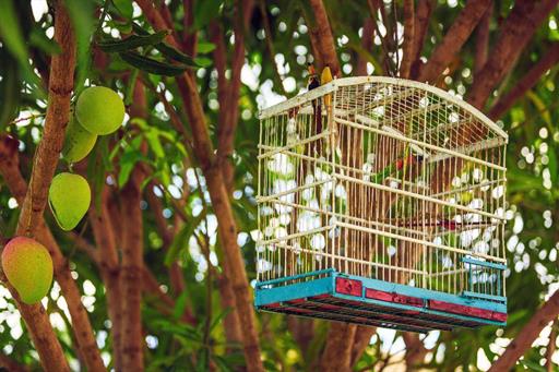 whatsapp image 2020-10-18 at 23.08.44 (1).jpeg