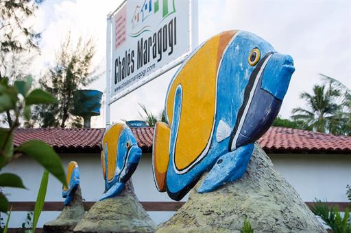 whatsapp image 2020-10-12 at 10.11.01 (14).jpeg