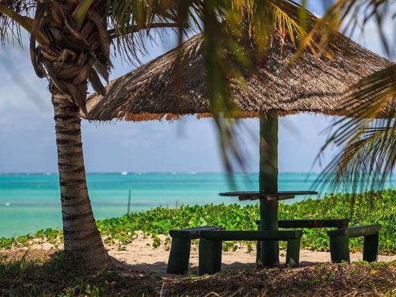 whatsapp image 2020-10-18 at 23.06.15 (20).jpeg