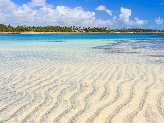 whatsapp image 2020-10-18 at 23.06.15 (23).jpeg