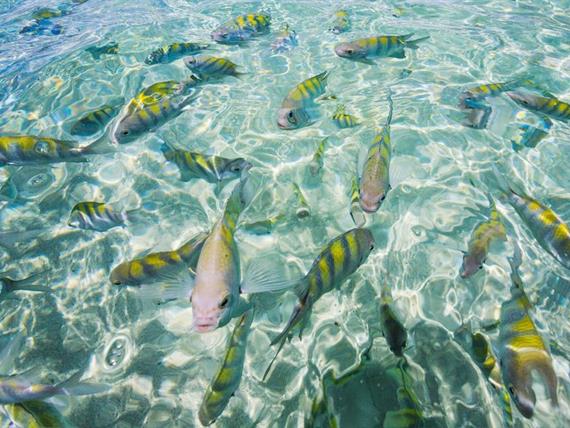 whatsapp image 2020-10-18 at 23.06.15 (22).jpeg