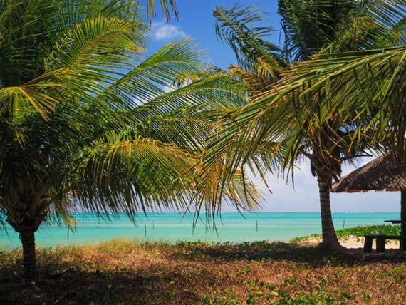 whatsapp image 2020-10-18 at 23.06.15 (21).jpeg