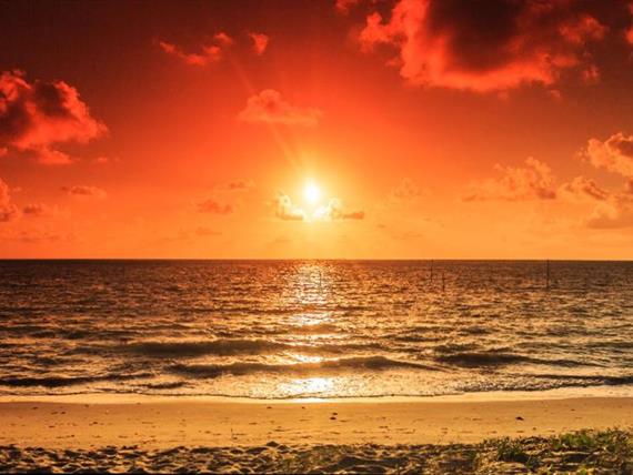 whatsapp image 2020-10-18 at 23.06.15 (26).jpeg