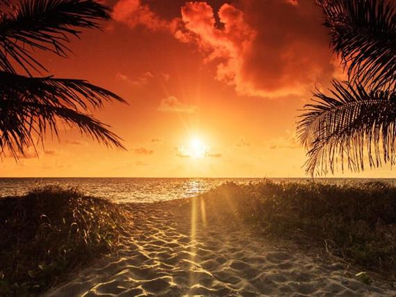 whatsapp image 2020-10-18 at 23.06.15 (27).jpeg