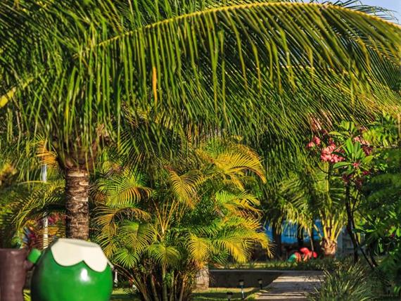 whatsapp image 2020-10-18 at 23.06.15.jpeg