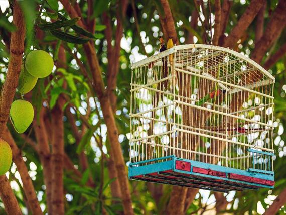 whatsapp image 2020-10-18 at 23.08.44 (1).jpeg