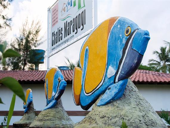 whatsapp image 2020-10-12 at 10.11.01 (14).jpeg