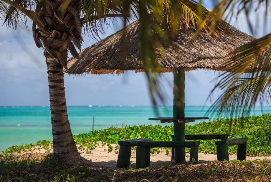 whatsapp image 2020-10-18 at 23.06.15 (20).jpeg