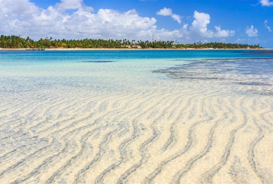 whatsapp image 2020-10-18 at 23.06.15 (23).jpeg