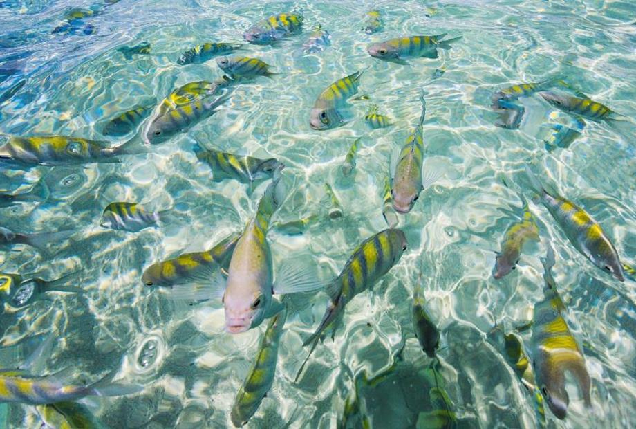 whatsapp image 2020-10-18 at 23.06.15 (22).jpeg