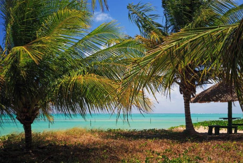 whatsapp image 2020-10-18 at 23.06.15 (21).jpeg