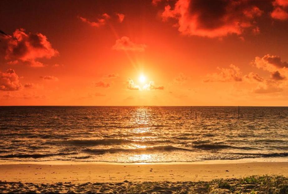 whatsapp image 2020-10-18 at 23.06.15 (26).jpeg