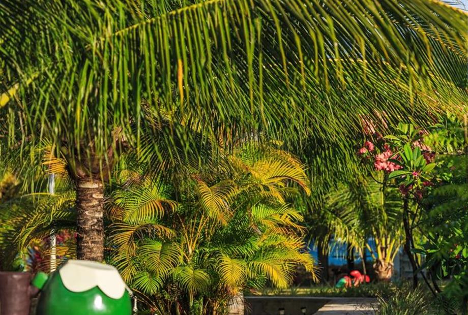 whatsapp image 2020-10-18 at 23.06.15.jpeg