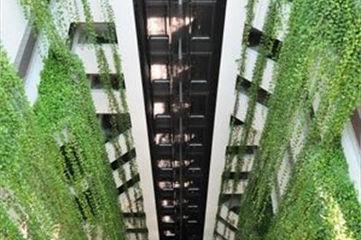 Elevador Panoramico.jpg