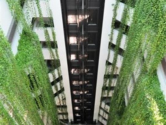 Elevador Panoramico.jpg