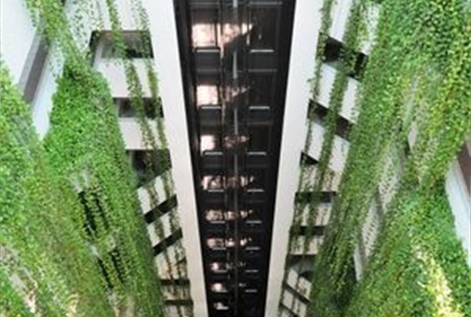 Elevador Panoramico.jpg