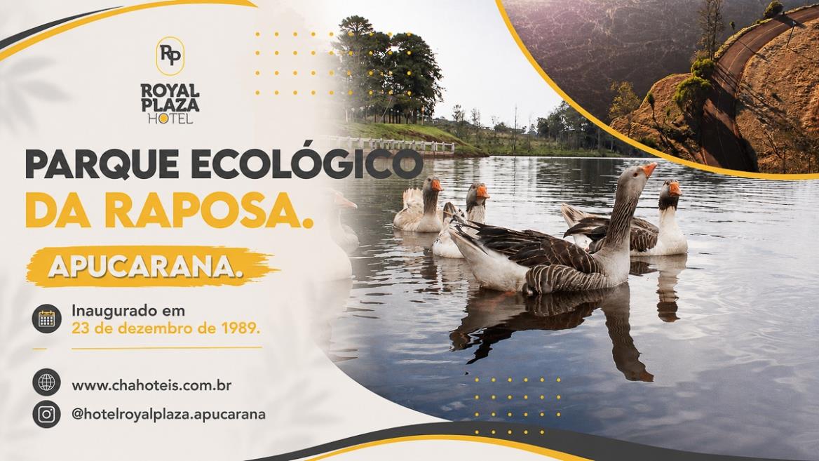 apucarana 03.jpg