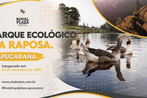 apucarana 03.jpg