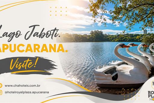 apucarana 04.jpg