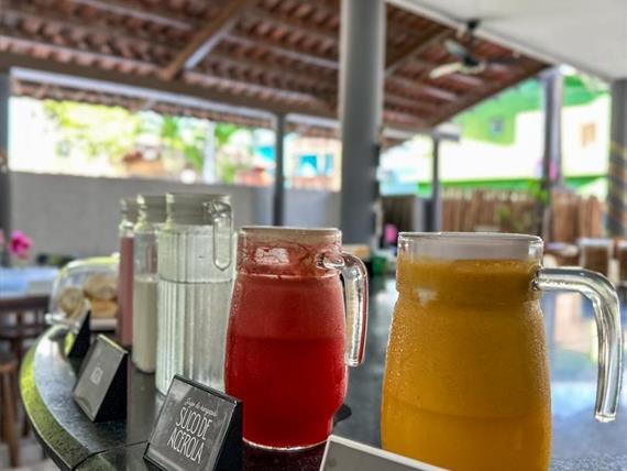 cópia de img_7098_jpg.jpg