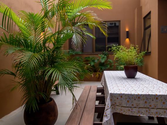 cópia de cz6_4227.jpg