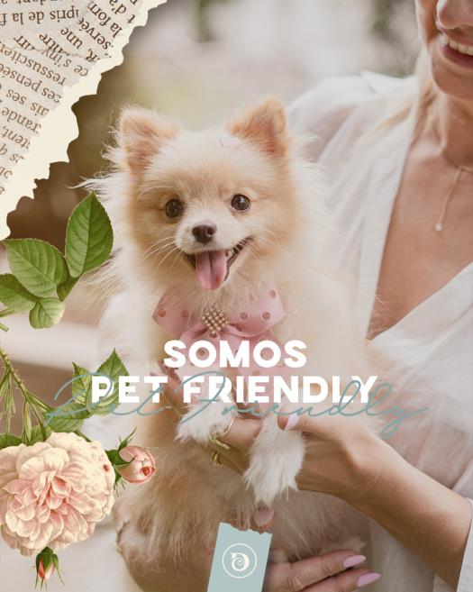pet friendly.jpg