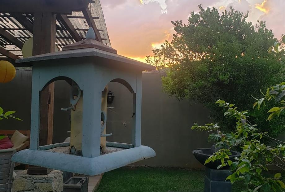 whatsapp image 2020-11-13 at 15.36.08.jpeg